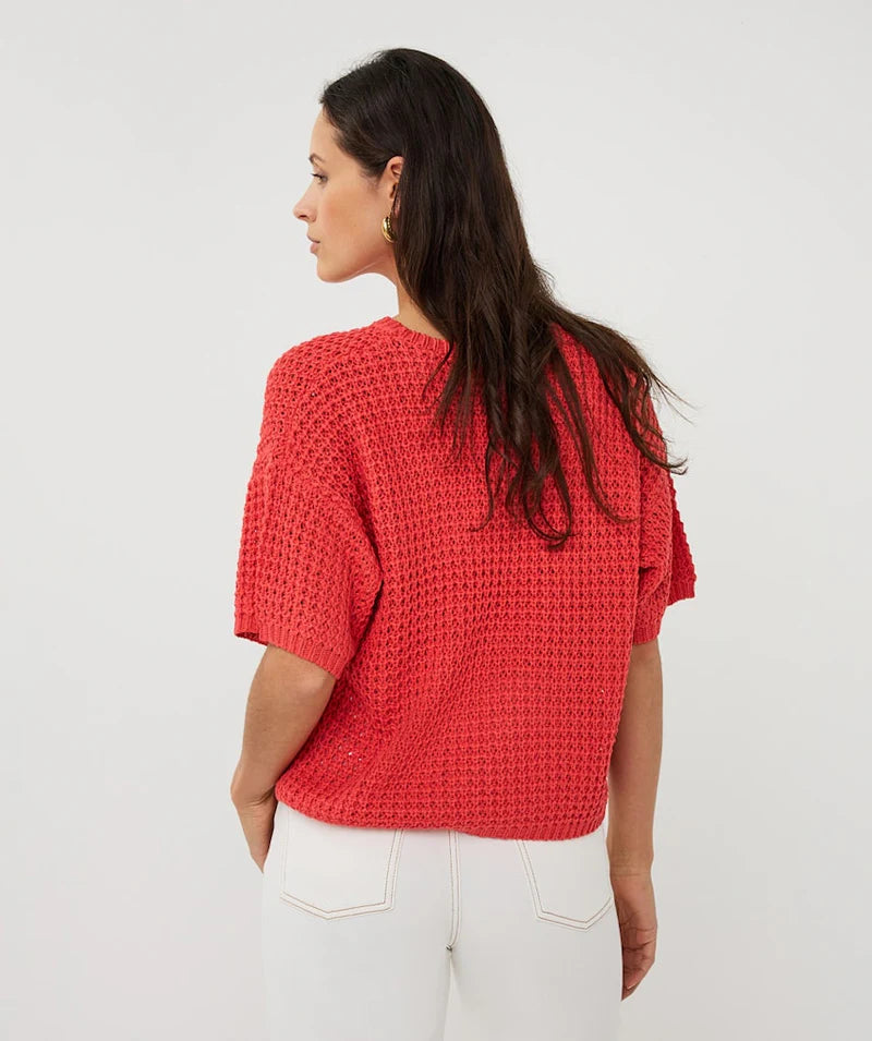 Esqualo Open Knit Short Sleeve Sweater Chili Red
