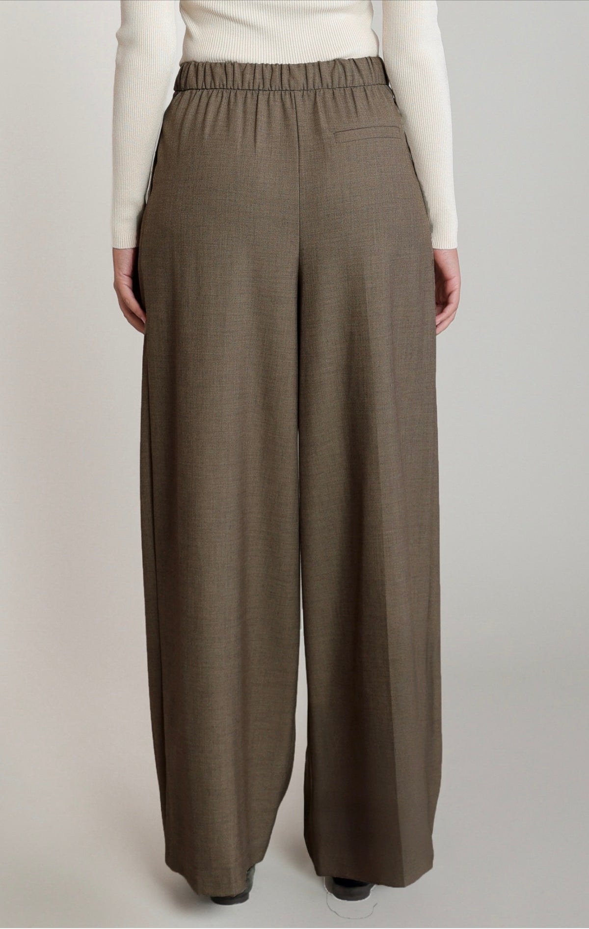 Dex Pleated Drawstring Pants Taupe