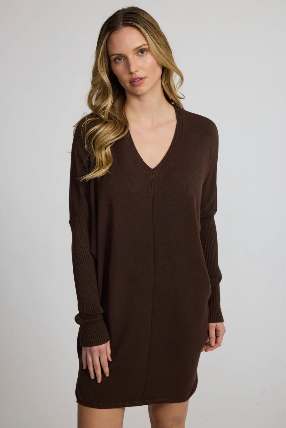 Pistache Ribbed Sleeve V-Neck Sweater Dress Espresso