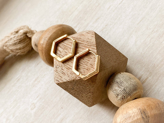 Agaveh Girl Hexi Huggie Earrings